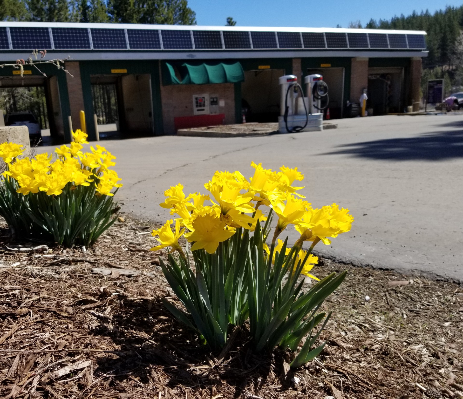 Home | Cross Roads Car Wash, Truckee